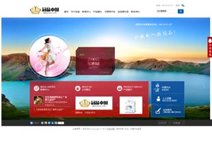 冠品中国网站建设项目--唯极建站
